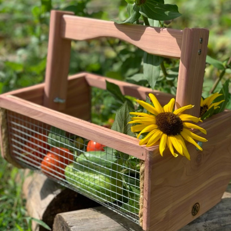 Handmade Cedar Garden Harvest Basket for Vegetables, Flowers & Eggs