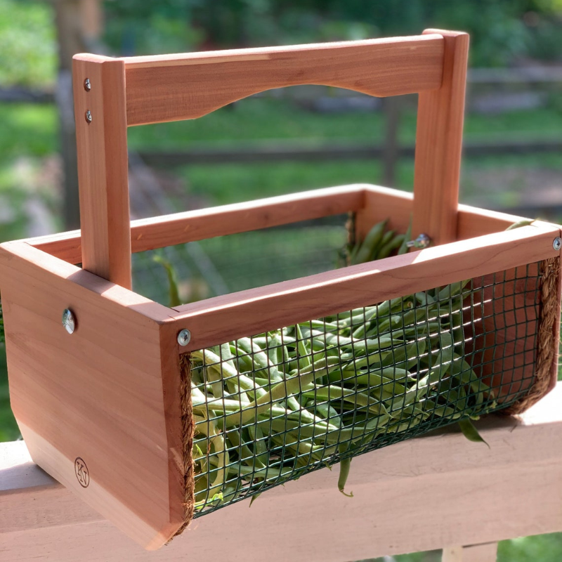 Handmade Cedar Garden Harvest Basket for Vegetables, Flowers & Eggs