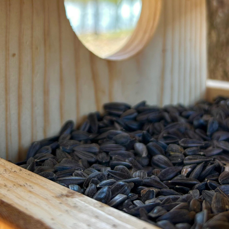 Handmade Wooden Bird Feeder for Outdoor Garden & Backyard Birds