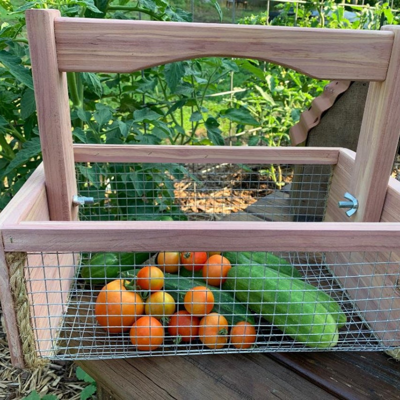 Handmade Cedar Garden Harvest Basket for Vegetables, Flowers & Eggs