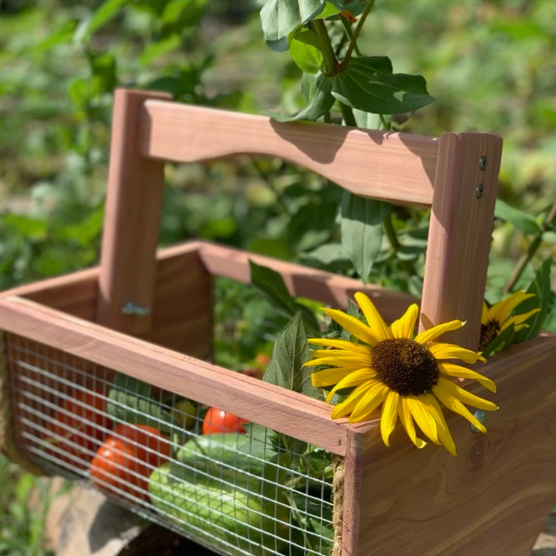 Handmade Cedar Garden Harvest Basket for Vegetables, Flowers & Eggs
